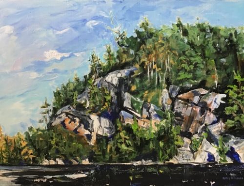 blueberry island (baptiste lake)