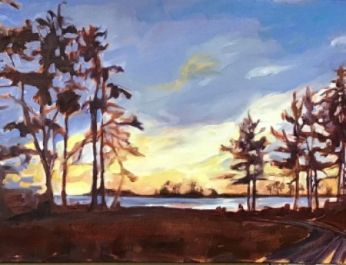 view of chesterman beach