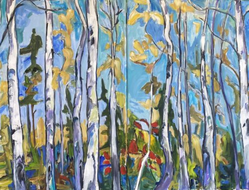 “spring birch trees”