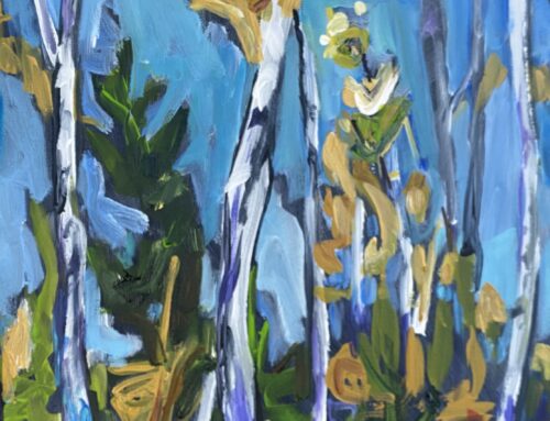 “birch trees 2”